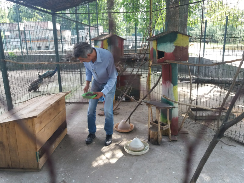 Regim special de caniculă pentru animalele de la zoo