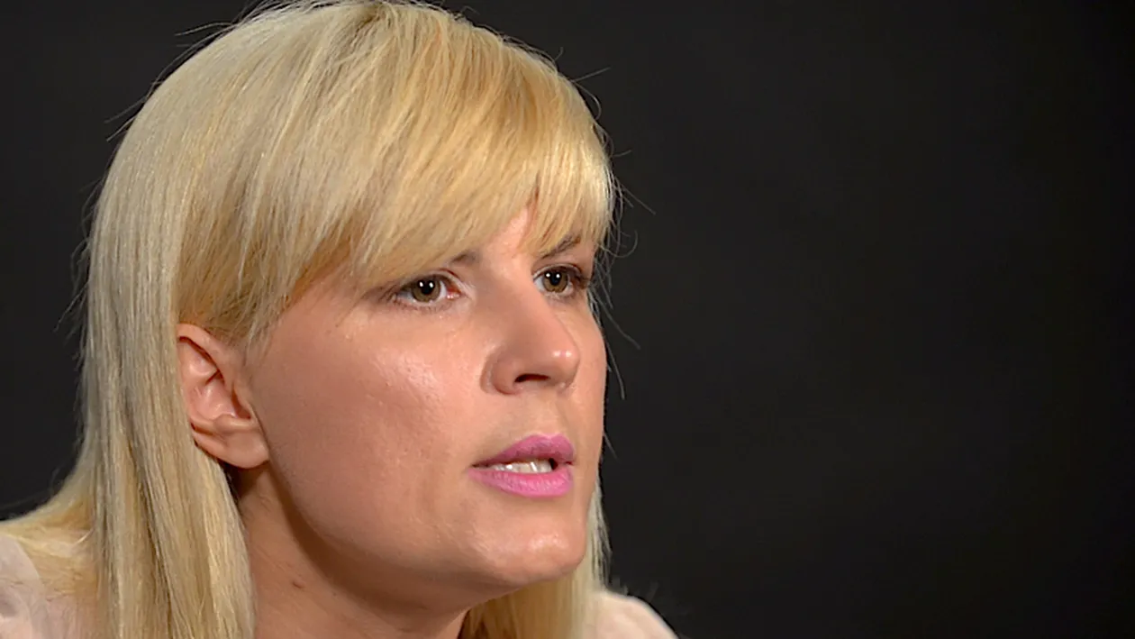 Decizia ÎCCJ în dosarul Gala Bute, în care e judecată Udrea