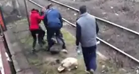 Galerie foto - poza 3