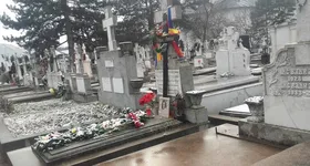 Galerie foto - poza 2