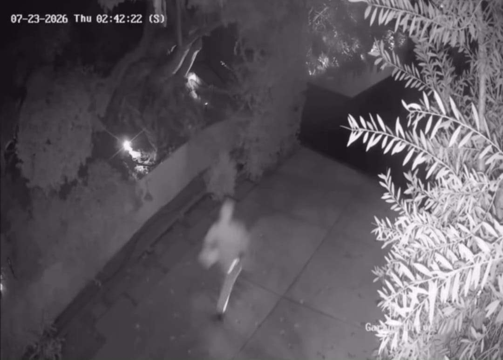 Locuința lui Dragoș Săvulescu din Hollywood Hills, vizată de un jaf. Hoții au plecat cu obiecte de lux