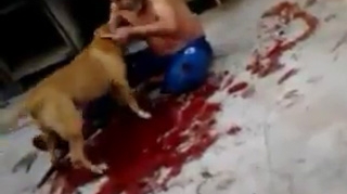 CAZ SOCANT in Brazilia! Un barbat a fost sfasiat de propriul Pitbull! Cainele i-a rupt bratul si l-a lasat pe om intr-o balta de sange!