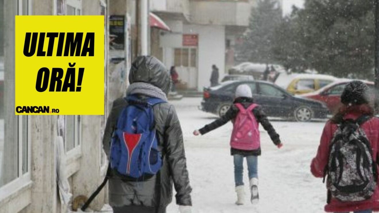 ULTIMA ORĂ! Se închid şcolile, din cauza viscolului! Unde se vor ţine cursuri online