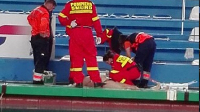 O nouă tragedie zguduie sportul românesc! Un fost jucător de la DINAMO şi-a găsit sfârşitul la bazinul Floreasca