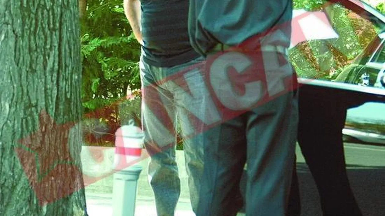 Netoiu si Turcu planuiesc viitorul lui Dinamo