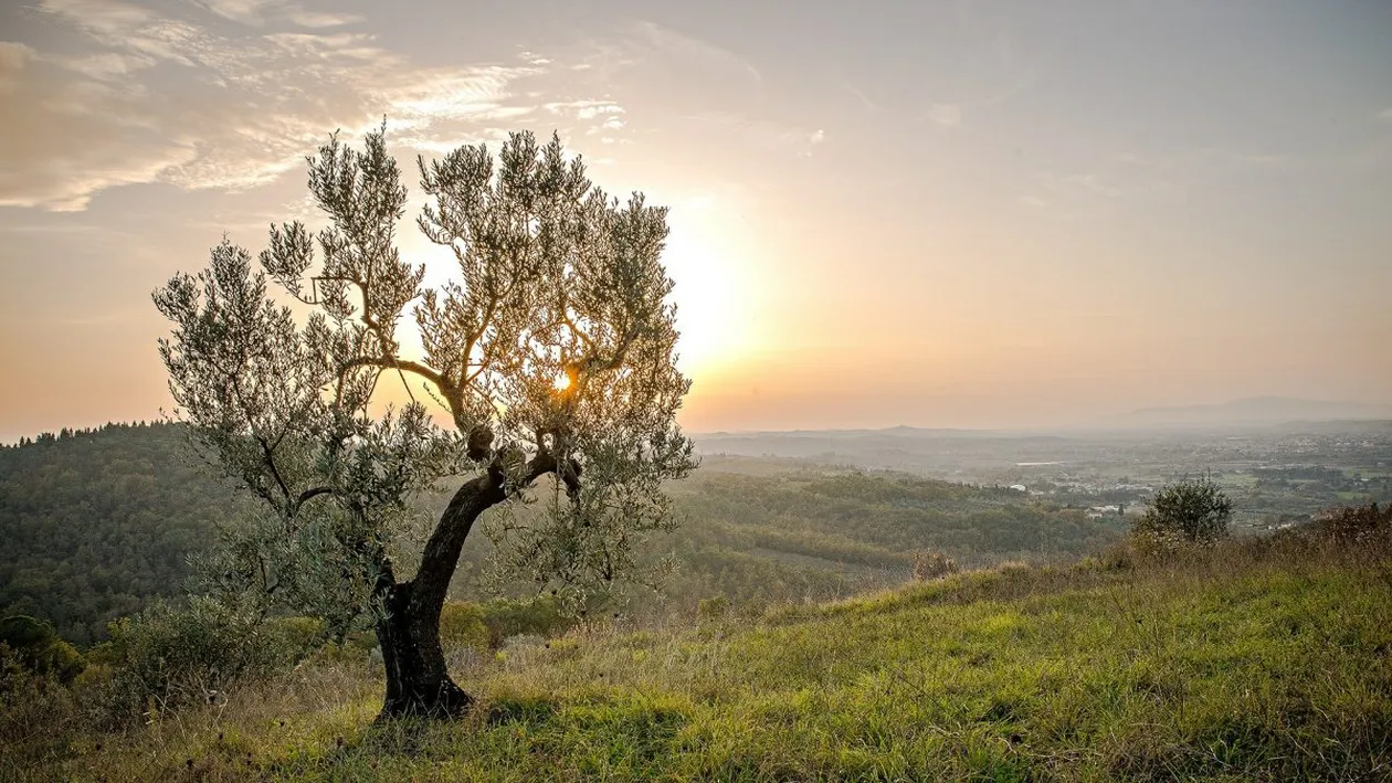 Prognoza meteo, 29 aprilie 2021. Temperaturile maxime ating 23 de grade Celsius