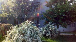 Caz rarisim la Bacalaureat! Ce notă a primit, după contestație, un elev din Voluntari care picase BAC-ul cu 5.96