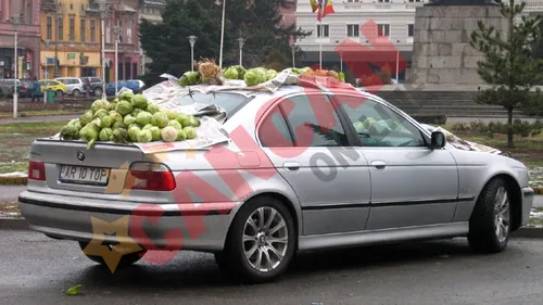 Masina unui aradean, acoperita cu varza si un iepure impaiat