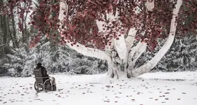 Galerie foto - poza 2