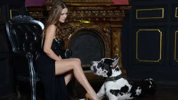 Intorsatura ciudata pe care a luat-o viata unui caine-vedeta! Tu l-ai vrea acasa pe Jack?