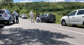 Galerie foto - poza 3