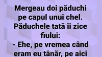 Bancul de weekend | Mergeau doi păduchi pe capul unui chel