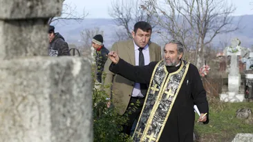 Copacii uscați din pădurea BOR – când unii slujitori uită de bunătate