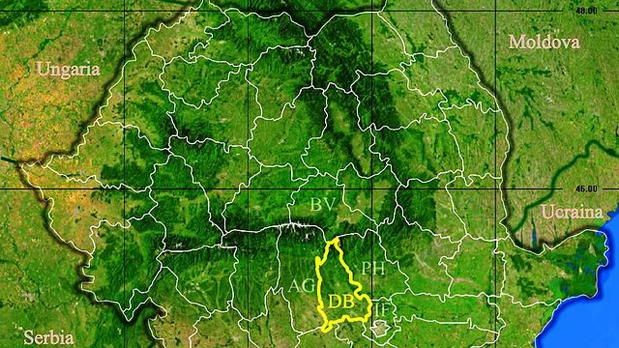 Rezultate Evaluarea Națională 2019 (Capacitate) Dâmbovița