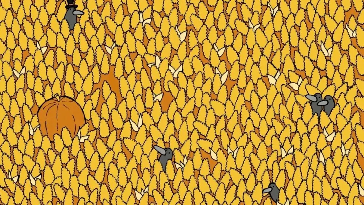 Test IQ | Numai cei cu ochi ageri văd unde se ascunde para, în doar 15 secunde!