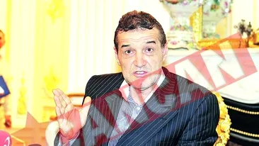 Becali nu are voie sa candideze in colegiile PD-L