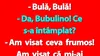 BANC | Bulă, Bubulina și poșeta de 1.000 euro