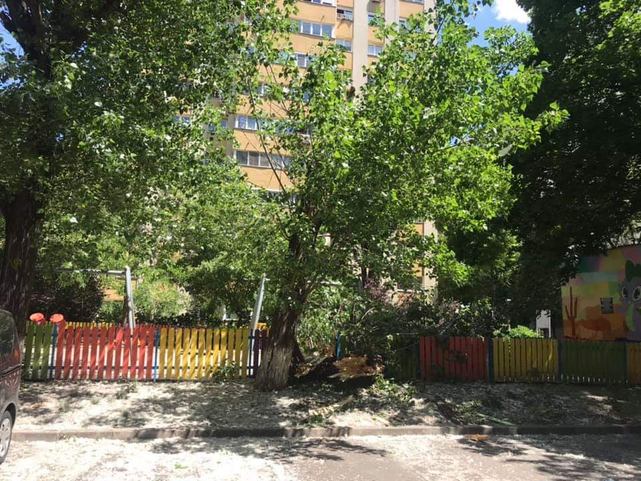 Vântul face ravagii în Capitală. Zeci de copaci au cedat rănind o persoană. FOTO