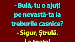 BANC | Bulă și treburile casnice