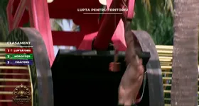 Galerie foto - poza 3