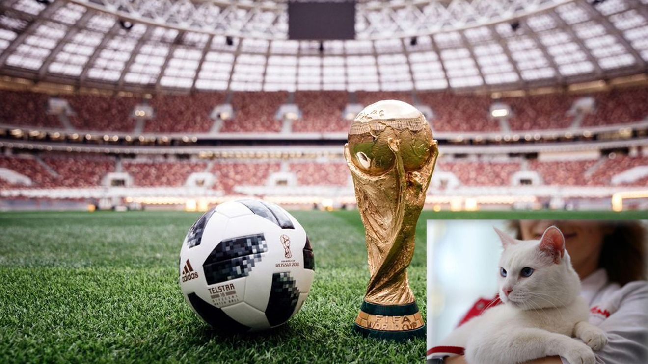 Campionatul Mondial de Fotbal 2018 LIVE. Celebrul motan Ahile a prezis victoria Rusiei în faţa Arabiei Saudite în meciul de deschidere