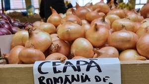 Leguma săracului a ajuns delicatesă! Cu câți lei se vinde 1 kg de ceapă românească în piață