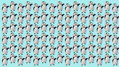 Test de logică | Găsiți singurul pinguin care nu seamănă cu ceilalți!