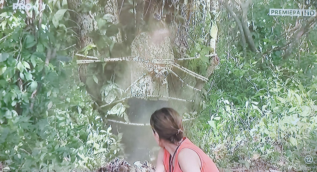 Cine a câștigat prima probă a concursului „Sunt celebru, scoate-mă de aici!”, de pe Pro TV. Învingătorii au avut parte de surprize dulci