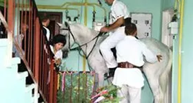 Galerie foto - poza 3