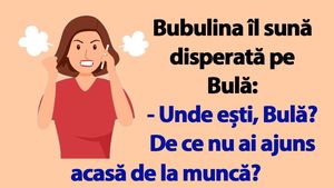 BANC | Bubulina îl sună disperată pe Bulă