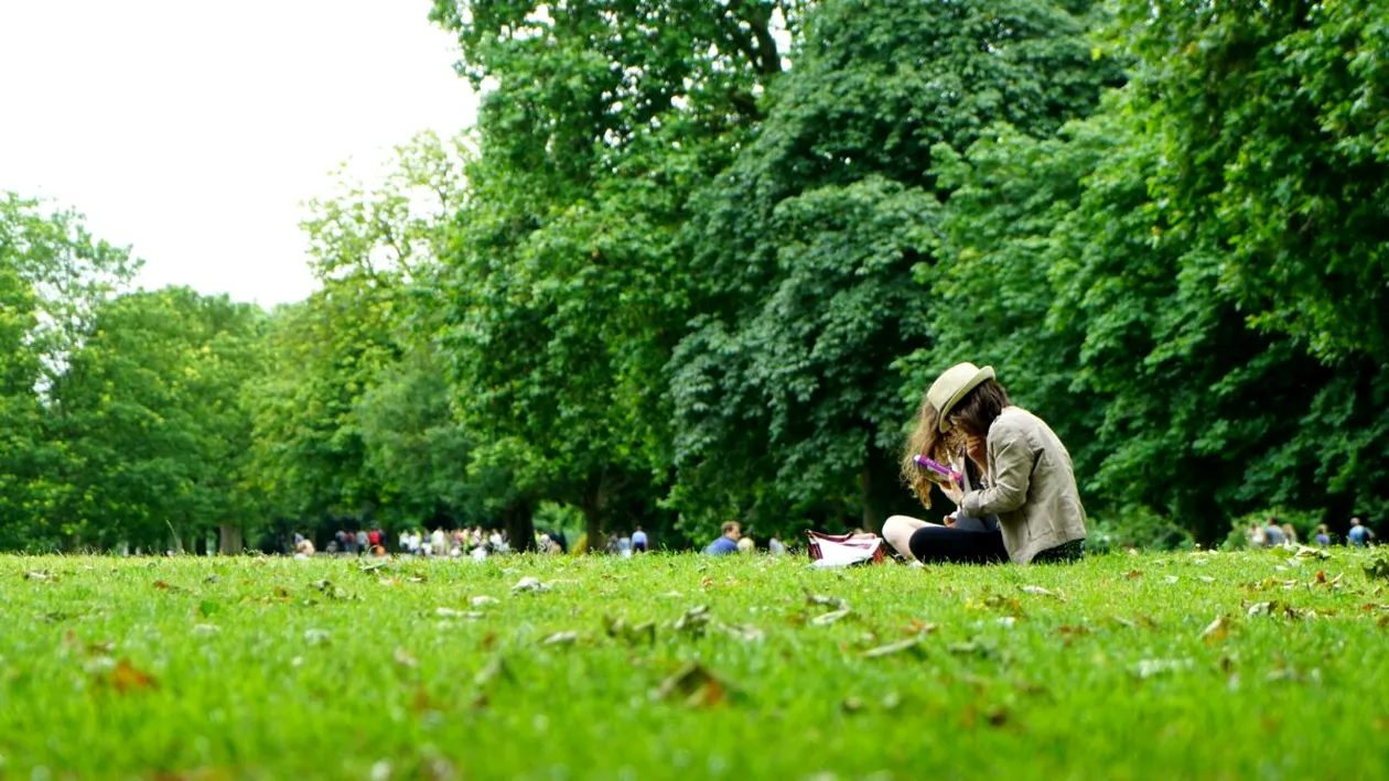 Amendă de 5.000 de lei pentru românii care încalcă această lege + Interdicție nouă în parcuri!