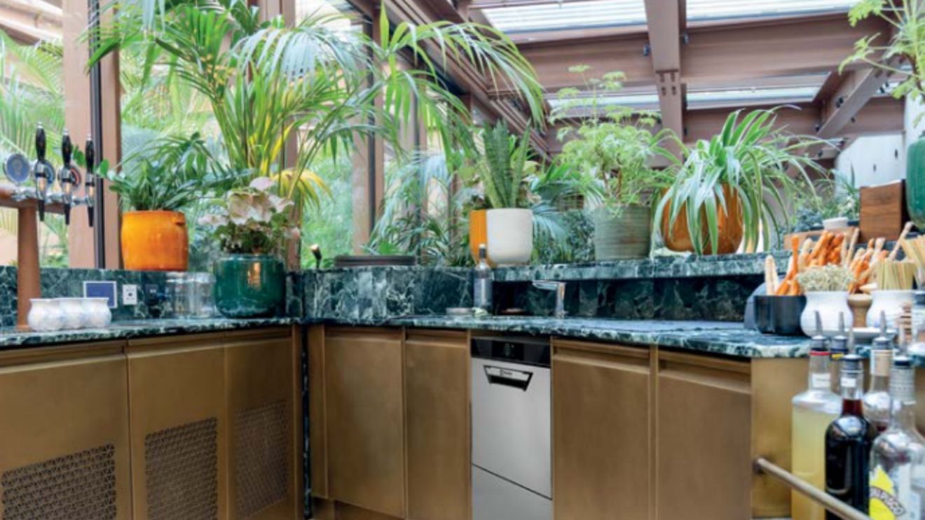 Mașini de spălat vase profesionale – Soluția ideală pentru eficiență și igienă (P)