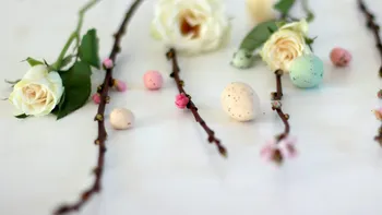 Ce nume se sărbătoresc de Florii? Lista completă a numelor de Florii și semnificația lor