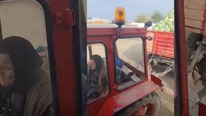 O bătrână muncește la 82 de ani ca în floarea vârstei. Femeia a fost filmată în timp ce transporta tone de varză cu tractorul