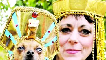 Si-au dus cainii la bal mascat