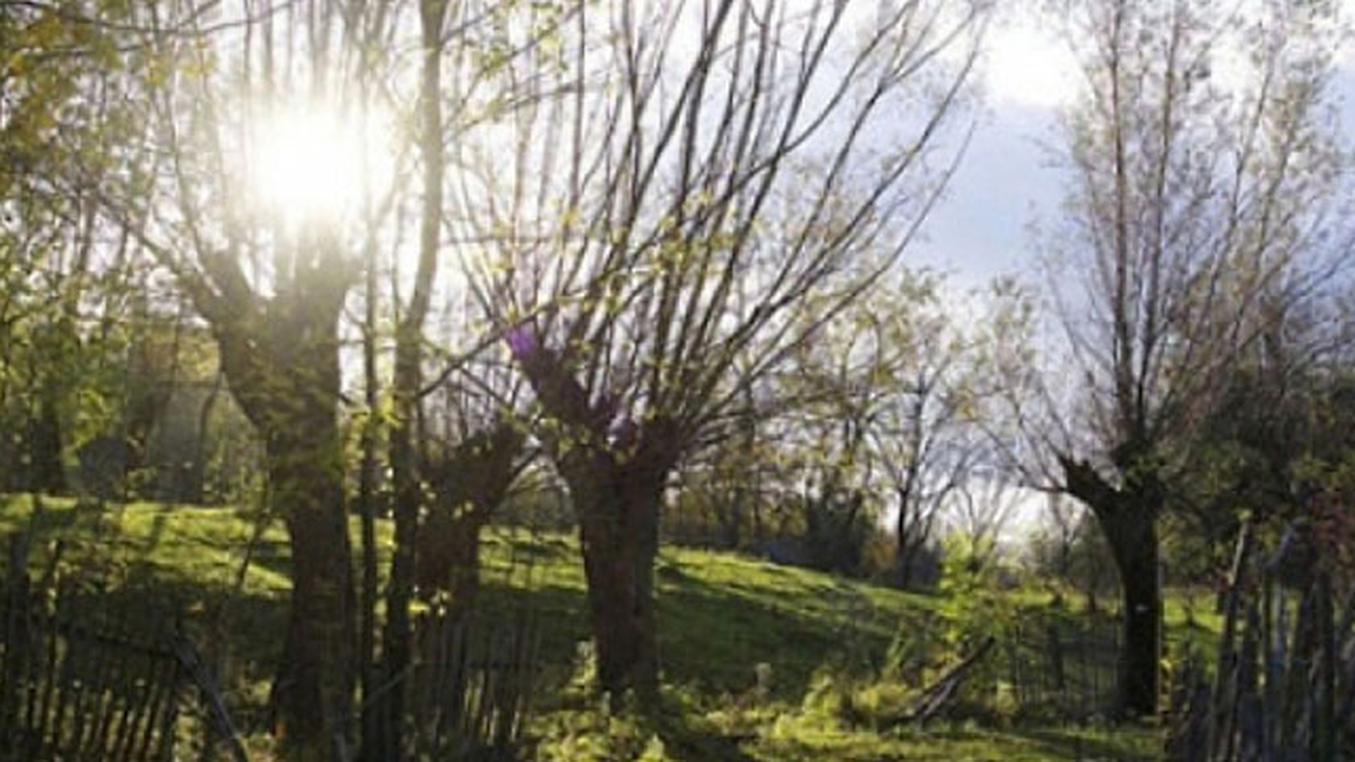 METEO 16 SEPTEMBRIE! Ce se va intampla cu vremea incepand de ASTAZI!