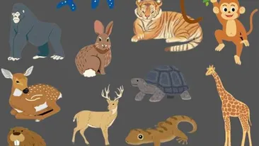 Test de logică exclusiv pentru genii | Care animal este diferit de toate celelalte?