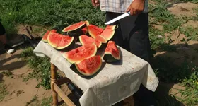 Galerie foto - poza 3