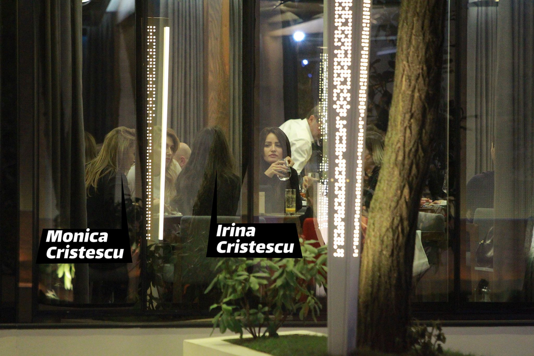 Irina și Monica Cristescu, moștenitoarele OPTICRIS