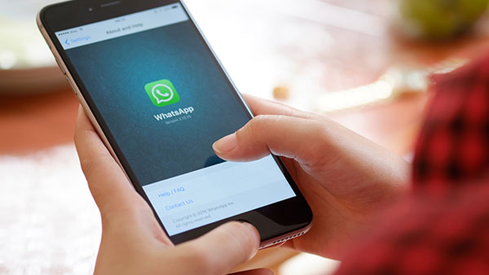 WhatsApp șterge 2 milioane de conturi, lunar