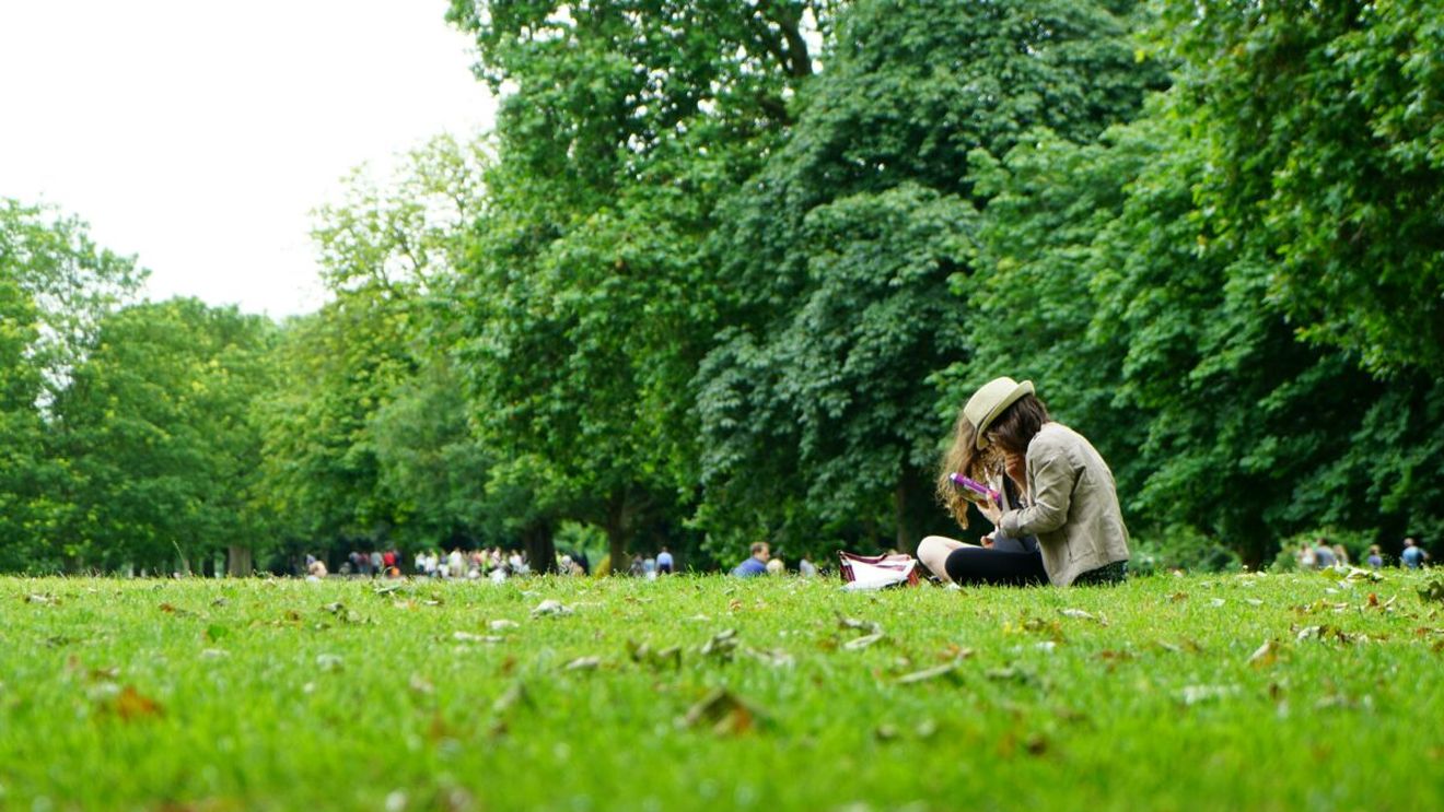 Amendă de 5.000 de lei pentru românii care încalcă această lege + Interdicție nouă în parcuri!