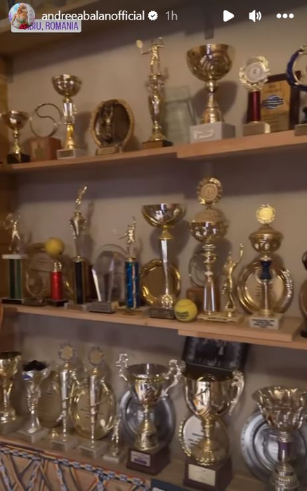 Victor Cornea a câștigat medalii și trofee / sursă: Instagram