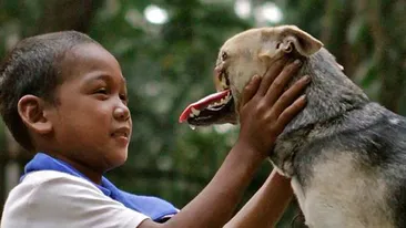 O sa ti se rupa sufletul! Cainele asta fara bot va fi operat! Vezi ce poveste impresionanta are si cum a ajuns asa, dupa ce a salvat doua fetite!