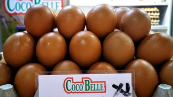 Cu cât au ajuns să se vândă ouăle în piețele din București. Diferență mare de preț față de supermarketuri