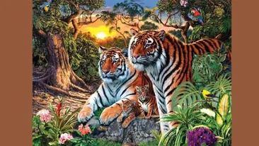 Testul IQ la care 99% răspund greșit | Câți tigri sunt în această fotografie, în total?