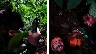 A scris istorie în botanica umanității și a plâns ca un copil! După 13 ani de căutări, a găsit în junglă o floare unică de Rafflesia hasseltii