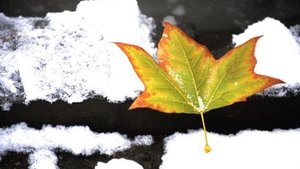 Prognoza meteo pentru SAMBATA! Afla cum va fi vremea in Bucuresti si in toata tara!
