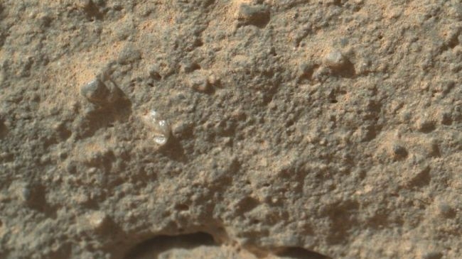Există viaţă pe Marte? Staţia spaţială NASA, Curiosity, a fotografiat ceea ce pare a fi o floare! Voi ce credeţi?