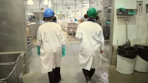 VIDEO ADEVARUL despre McDonalds! Imagini senzationale din fabrica in care se produc McNuggets! Vezi prin cate procese trece carnea