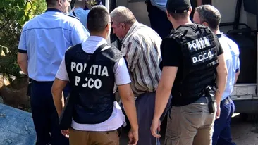 DIICOT nu a primit raportul de expertiză pentru fragmentele osoase ridicate din pădure